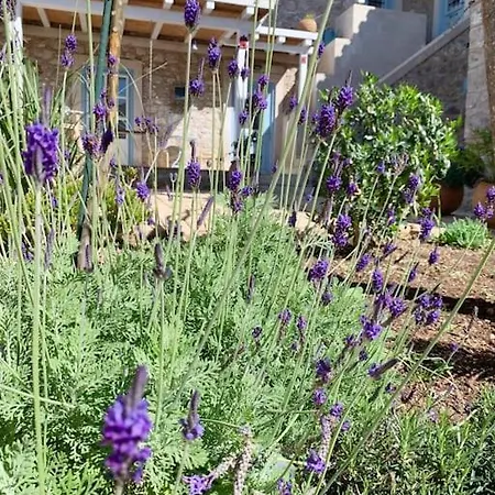 Apartman House. Kranídi