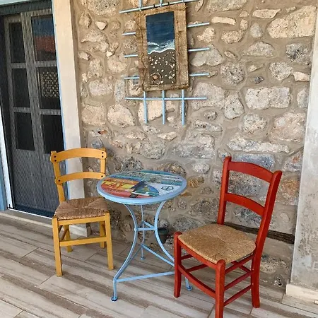 House. Apartment