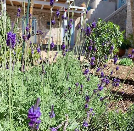 Apartment House. Kranidi