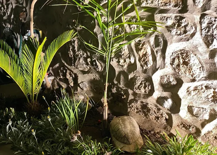 Апартаменты House. *